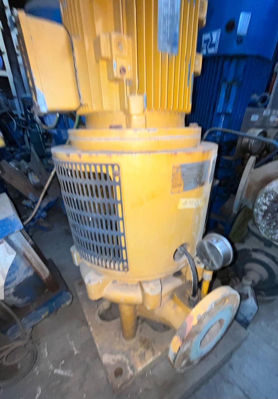 Desmi Type:NSL80-265-D02 Sea Water Pump Generator S/W Pump - Image 5